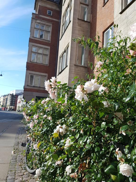 Apartment Aaboulevard Kopenhagen